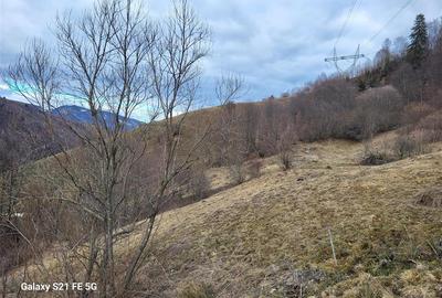 Teren, Zona de Interes Turistic-Cheile Gradistei,  8800mp - 9