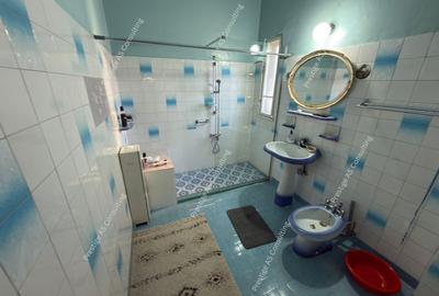 Casa individuala 2 apartamente | 310 mp utili |  clinica / birouri Elisabetin - 11