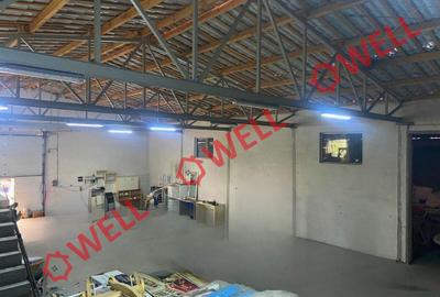 Spații potrivite pentru atelier sau depozit de închiriat în Sfântu Gheorghe! - 5