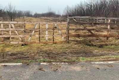 De vanzare teren  Baicoi Ph - 4