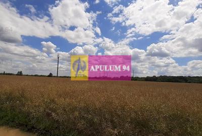 Teren 715mp în Snagov lângă Equestria - 51