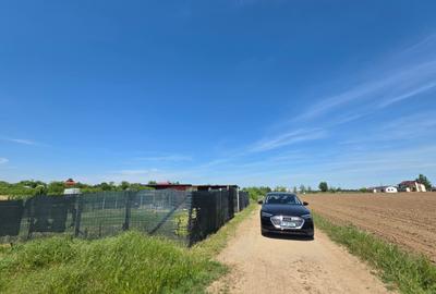 Teren cu livada perfect pentru CASA - 1.200 MP Sat Varlaam, Giurgiu - 8