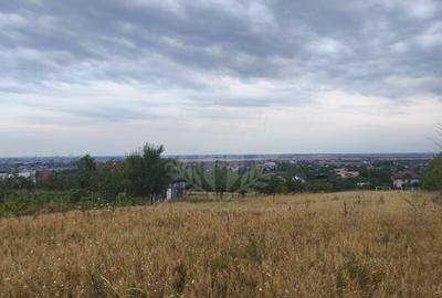 TEREN PAULESTI//10.000 MP - 12