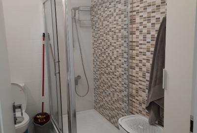 Garsonieră modernă de închiriat – Brâncuși / Drumul Taberei - 5