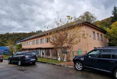 Resita CHIRIE Central, 785 mp. Parter, Etaj 1 - 1