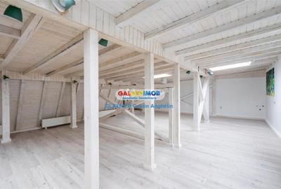 Vila Lux 5 Camere - Romana - 15