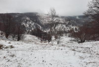 Teren agricol extravilan de 2746 mp, în Alexandru cel Bun