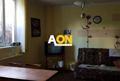 Casa ideala pentru transformare in pensiune - 37