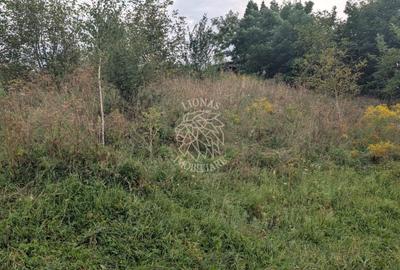 Teren Construcții intravilan de 500 mp, în Sud