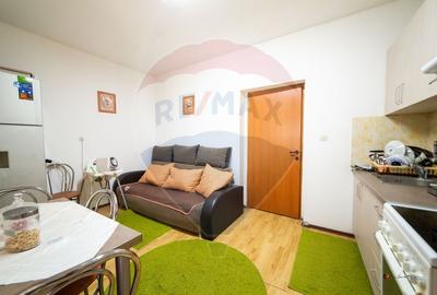 Casă cu 3 apartamente, piscină și 1000 mp teren, vânzare/schimb Turnu - 17