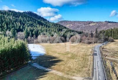 Teren extravilan 19.200 mp – DN1A Săcele, Brădet | Front stradal 130 ml - 15
