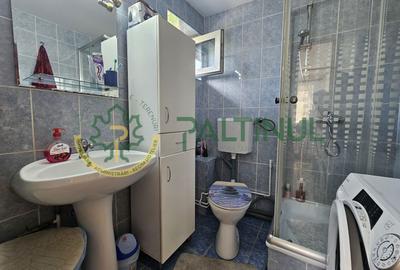 Apartament 3 camere de vanzare, zona centrala, langa Parcul Sub Arini - 9