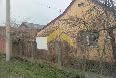 Casa cu teren 1757 mp in Sambateni de vanzare - 2