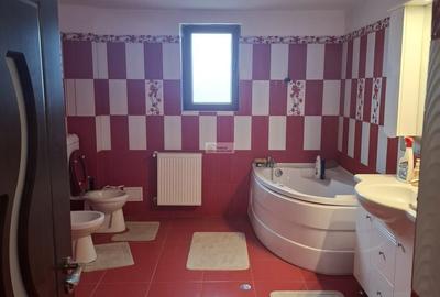 Casa/vila de vanzare in Garoafa /Vrancea - 12