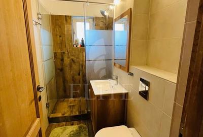 Apartament 2 camere în zona Padin - 8
