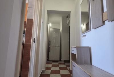 Apartament 3 Camere zona Drumul Taberei-Romancierilor - 9