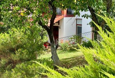 Casa individuala cu 5 camere si teren de 1 hectar - Ghioroc - Arad - 34