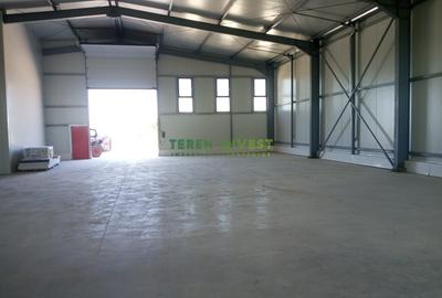 VÂNZARE HALĂ  - DN 4/ȘOS. OLTENIȚEI - 1