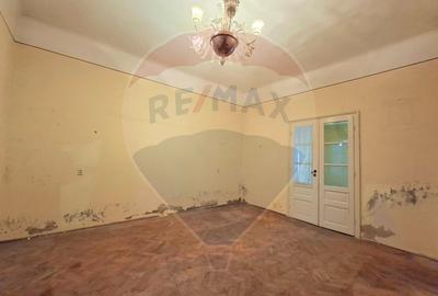 Proprietate centrală Arad,  cotă teren mare, acces auto - 8