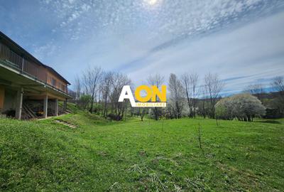 De vanzare casa 6 camere 8142 mp teren in Oarda de Sus - 29