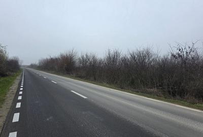 Teren 3000 mp dublu acces – vedere la Dunăre - 7