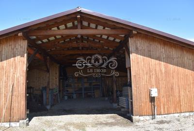 Cabana si constructii agroturistice in Codlea, Brasov - 8