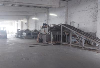 De vanzare spatiu industrial, fabrica industria lemnului - 3