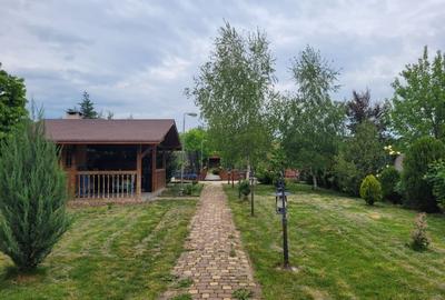 Oază de liniște cu "parc" privat în vatra satului - 3