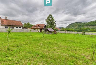 Casă în localitatea Gurahonț - Arad, teren 2914 mp - 22
