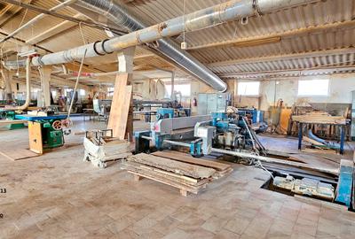 Complex imobiliar format din cladiri si constructii industriale+teren intravilan - 15