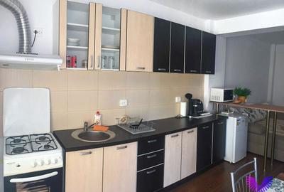 Apartament 2 camere vedere spre munte si balcon | Doamna Stanca - 4