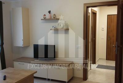 Apartament cu 2 camere semidecomandat, mobilat în Cetate