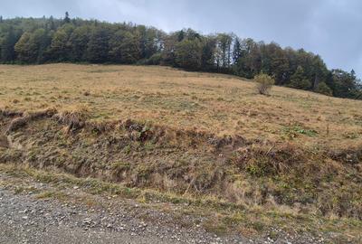 Teren deosebit in cadru de poveste langa cabana Diham, Glajerie - 1