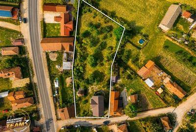FILM! 2.700mp teren cu casa personalizabila, pomi fructiferi,langa Sfantu Gheorg - 4