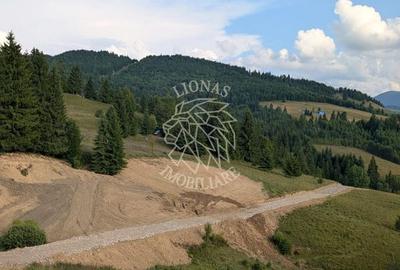 OFERTA! 11 Parcele teren intravilan-Piatra Fantanele, Castel Dracula - 3