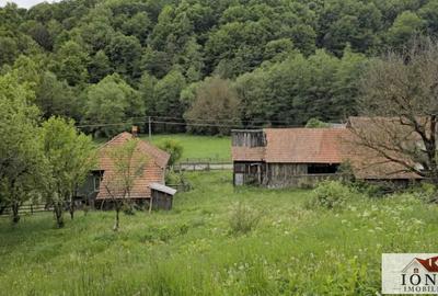 Vanzare casa in Almasu Mare -2650 mp teren - 6