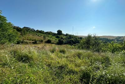 Teren de vanzare in Feleac, Intravilan - 6