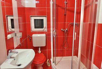 Casă cu 4 camere de închiriat Ultracentral - 8