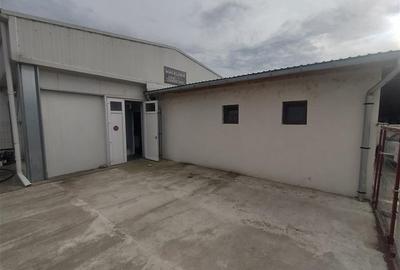 Moldova Noua, Spatiu Comercial - Macelarie, Utilata, Vanzare sau Inchiriere - 12