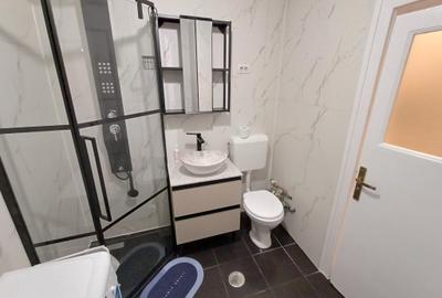 Garsoniera Sala Palatului, Parc Cismigiu, prima inchiriere, bloc consolidat - 8