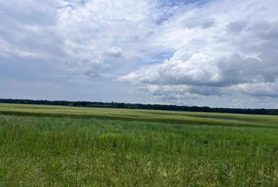 Teren agricol extravilan de 663500 mp, în Valea Plopilor