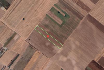 Teren Extravilan In Rate Primaverii Com. Berceni | 10.510mp | #EG29 - 1