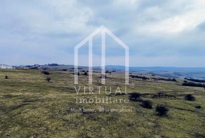 Teren de vanzare in Sibiu 67.500 mp, extravilan, Dealul Daii - 3