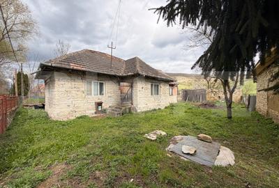 Casă individuală cu 2 camere în Chinteni