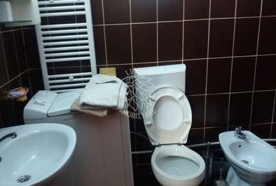 Cabana 4 camere-teren 350 mp-foisor amenajat 25 mp- Baile Figa - 6