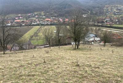 Teren intravilan si extravilan Luncoiu de Jos - 1