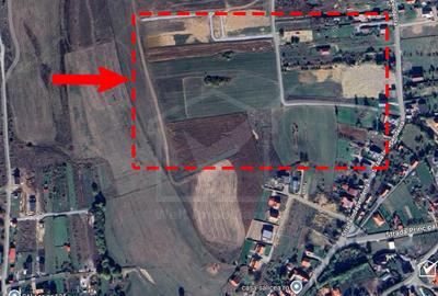 1500 mp front de 17,5 metri - Teren cu potential excelent in Salicea - 7