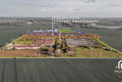 De vanzare Complex Zootehnic Suine Jud. Arad SU 15.30ha, Ferma, Grajd - 3