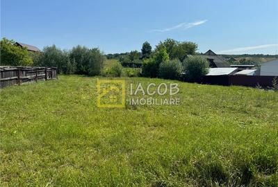 Casa parter (caramida) cu anexa (BCA) pe un teren 1180 mp, sat Strugari, jud Bac - 19