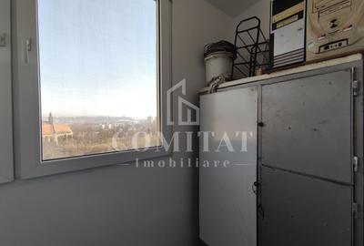 Apartament cu 3 camere decomandate | Etaj intermediar| Zona Primaverii - 13